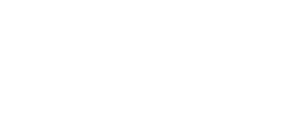 White “SINGER GROUP” logo with bold text and a curved swoosh underlining “SINGER,” ending in a pointed shape above the word “GROUP” on a transparent background.