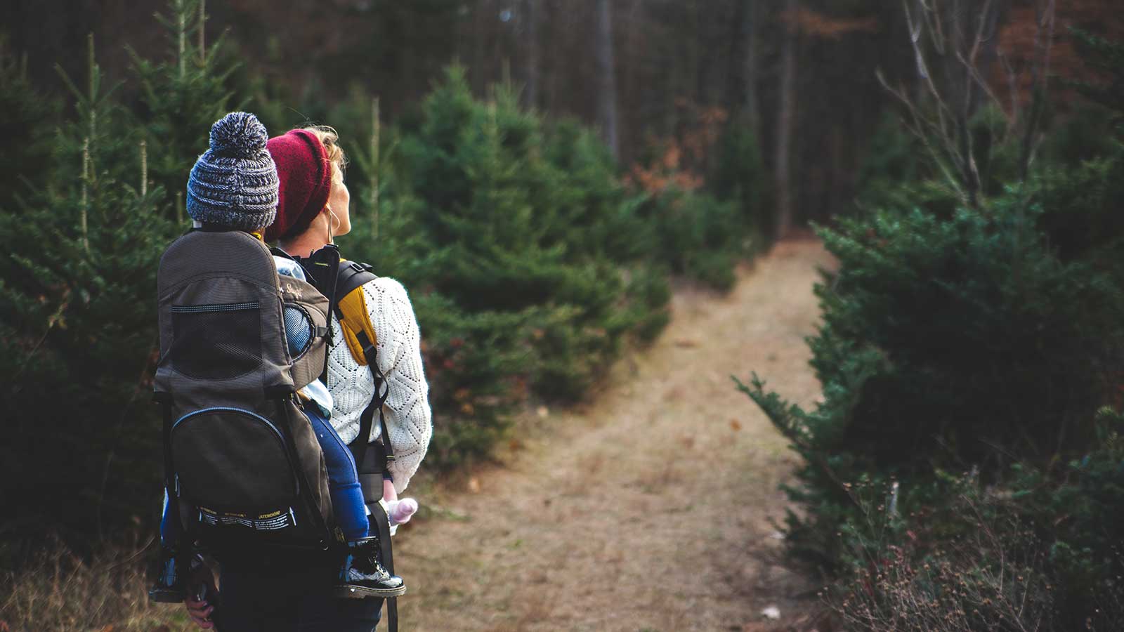 A person wearing a red beanie carries a young child in a backpack carrier while walking along a forest path lined with evergreen trees—exploring one of the best hikes Cape Town has to offer, both warmly dressed for cool weather.
